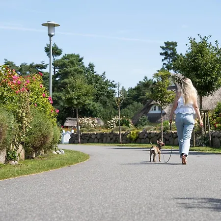 Дом отдыха Seeadler 24 *